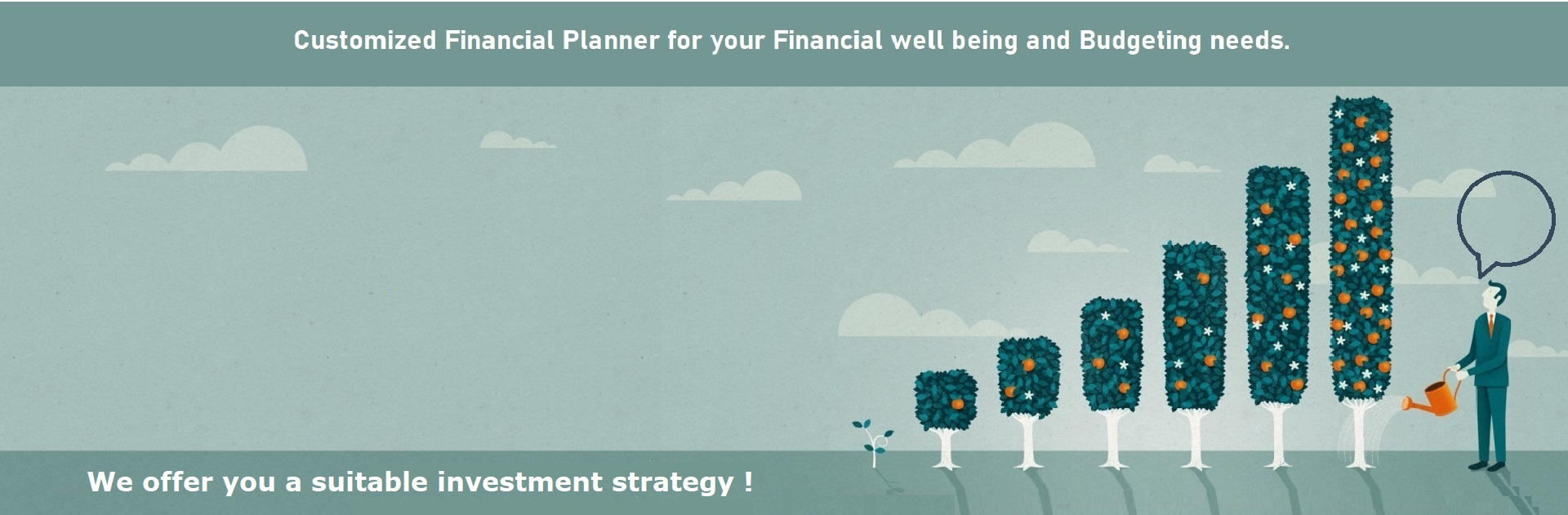 Customized Financial Planner