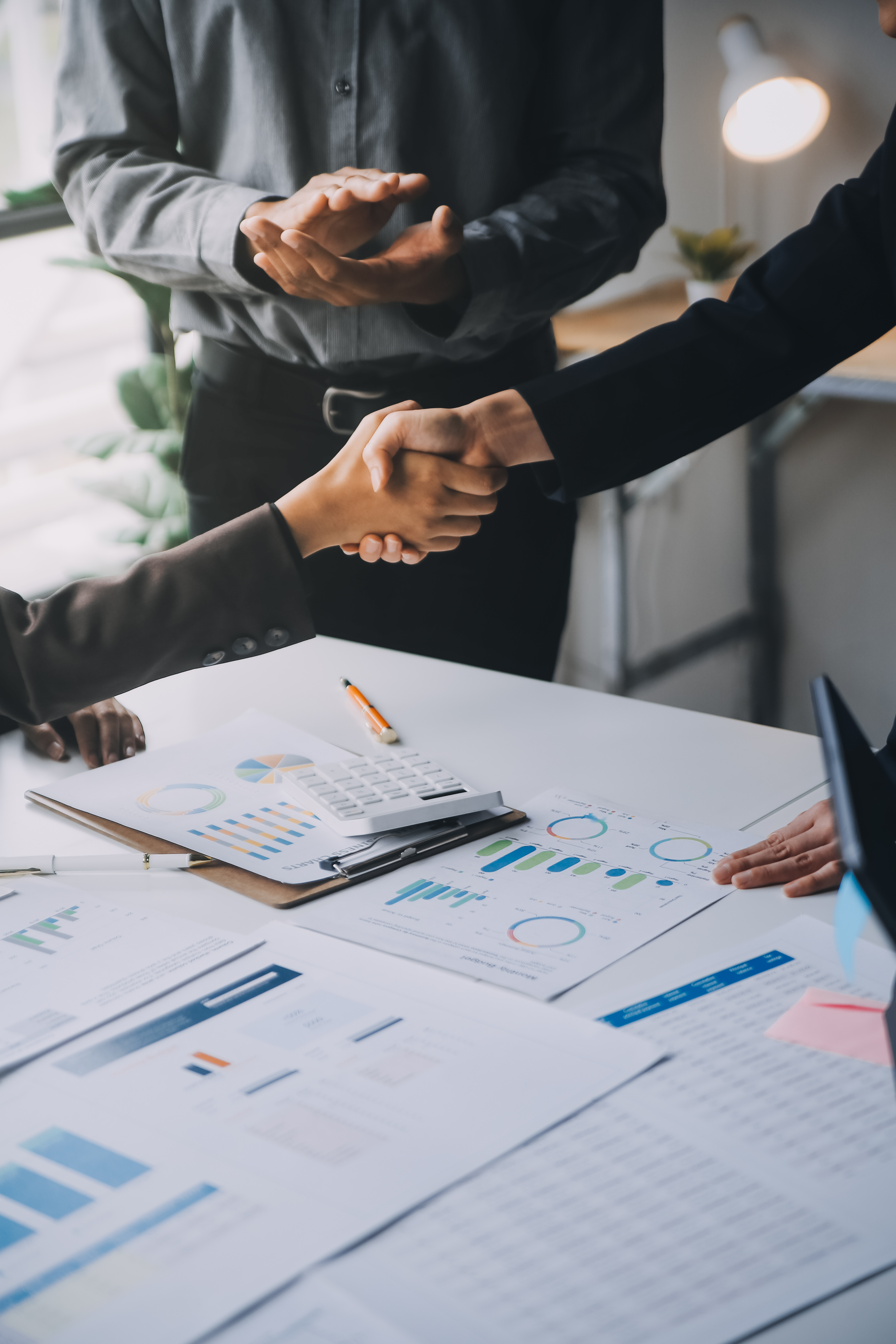 Professional tax expert assisting a client